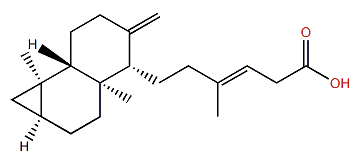 Methylmetasequoic acid